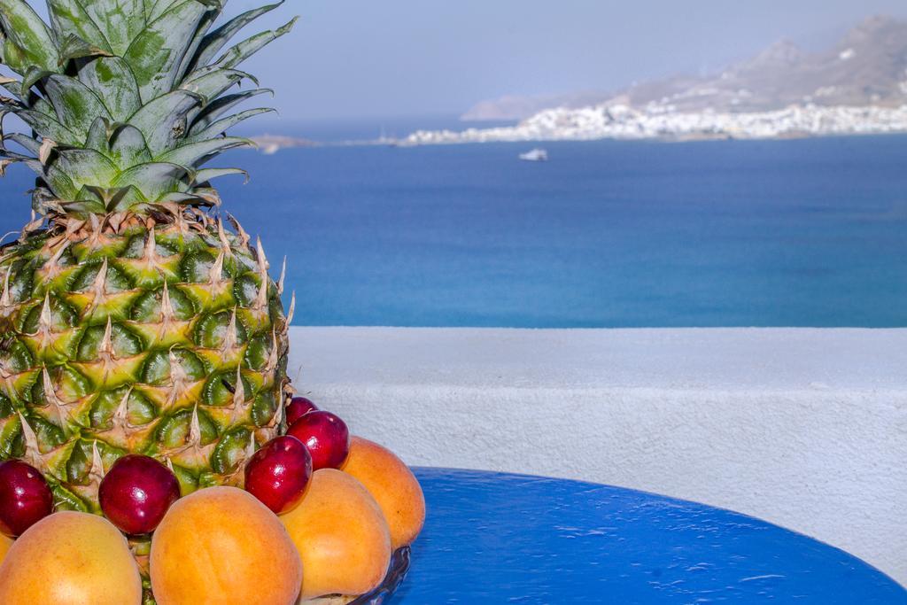 Dream View Hotel Στελίδα Εξωτερικό φωτογραφία