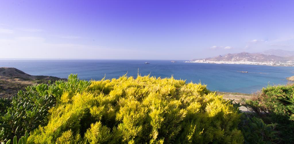 Dream View Hotel Στελίδα Εξωτερικό φωτογραφία